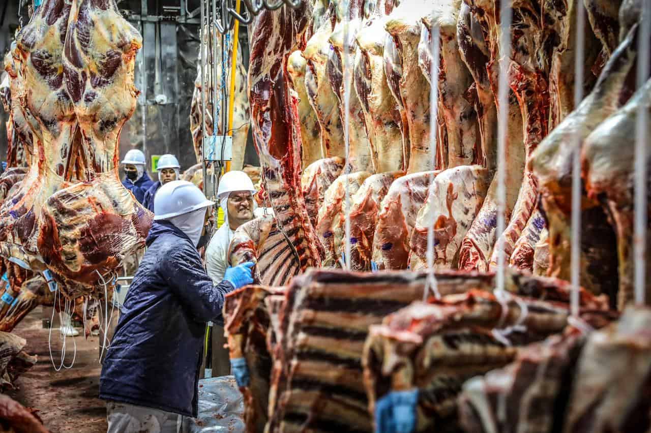 Preço da carne bovina cai 1,7% nos açougues e sobe quase 22% em supermercados de Rio Branco
