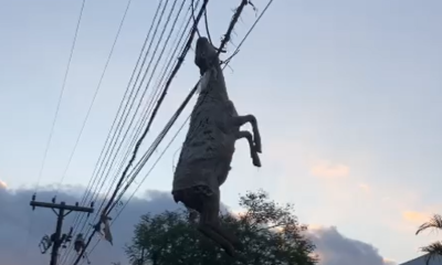 Capturar-1-e1694013184581 (1)