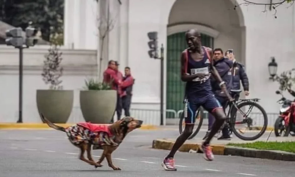 Capturar-11-e1695915721141 Capturar-11-e1695915721141