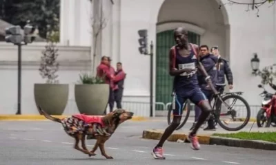 Capturar-11-e1695915721141 Capturar-11-e1695915721141