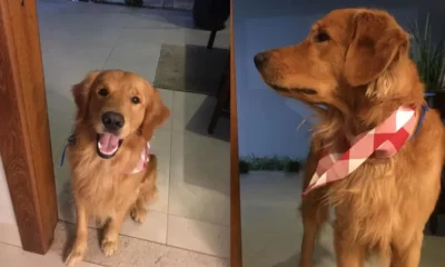 Copia-de-Placeholder-site-2023-09-11T144729.964 Copia-de-Placeholder-site-2023-09-11T144729.964