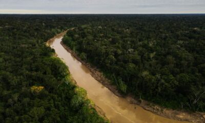 Desmatamento-33 Desmatamento-33