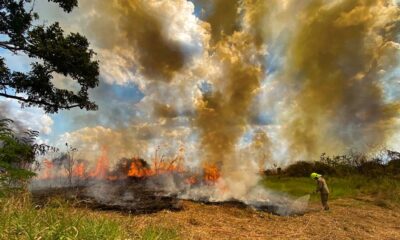 FOGO-QUEIMADAS-SERGIO-VALE-4