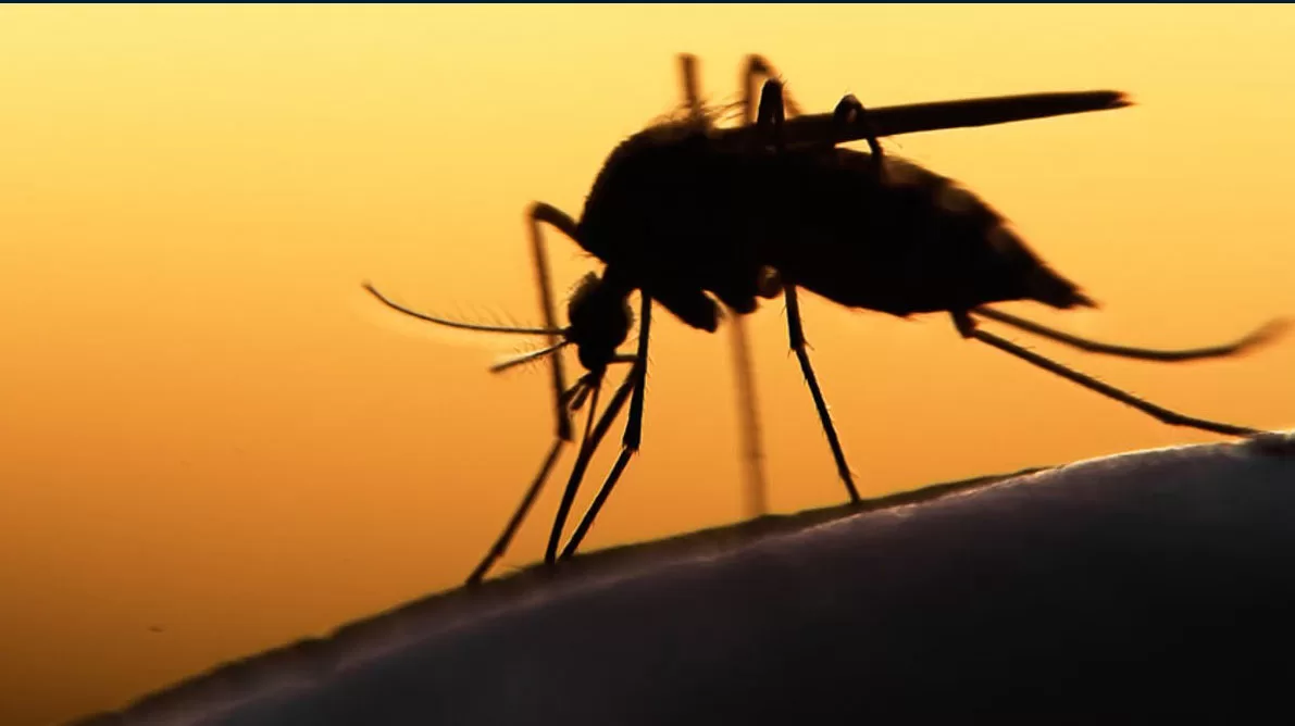 No Acre, criança de 2 anos morre com suspeita de febre amarela