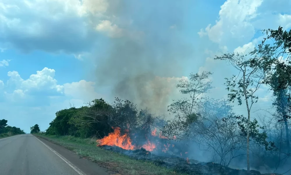 Fogo-as-margens-da-BR-317_Foto_Raimari-Cardoso1-jpeg Fogo-as-margens-da-BR-317_Foto_Raimari-Cardoso1-jpeg