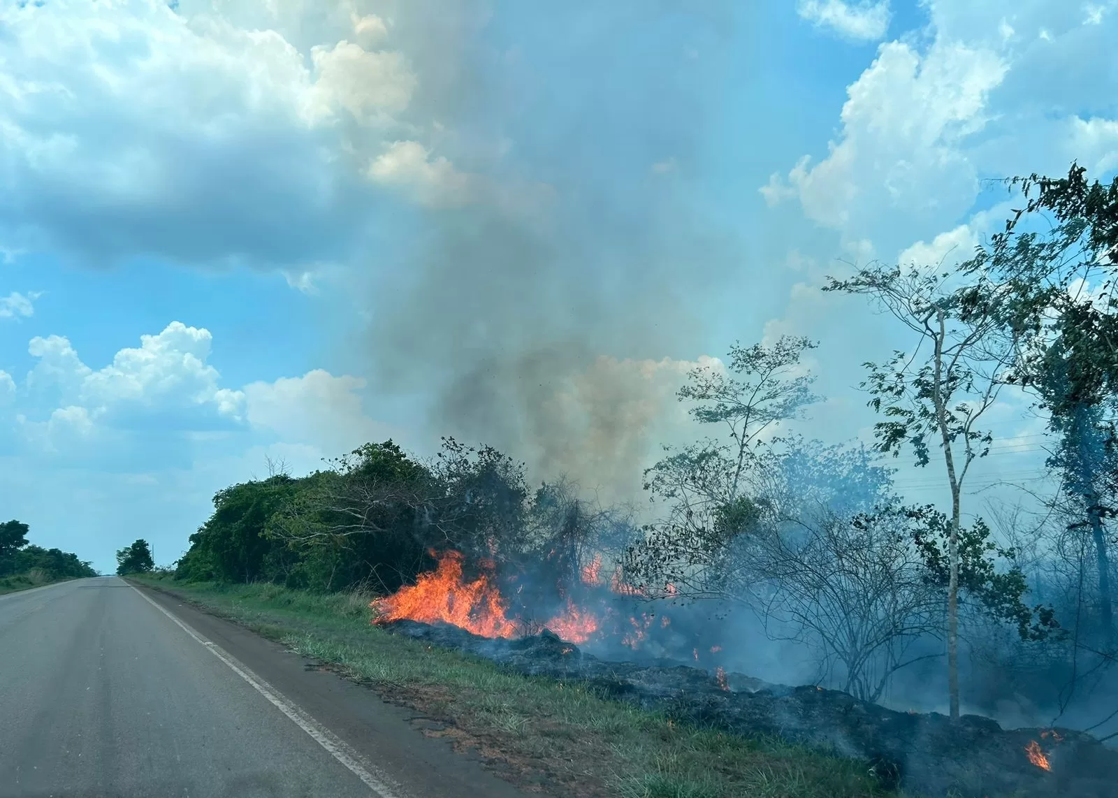 Fogo em pastagem destrói vegetação às margens da BR-317, próximo a Capixaba