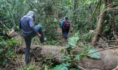 RTEmagicC_caminho-chico-mendes.jpg-jpg
