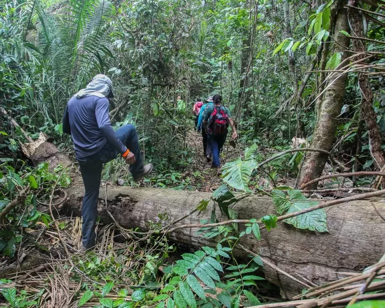 RTEmagicC_caminho-chico-mendes.jpg-jpg