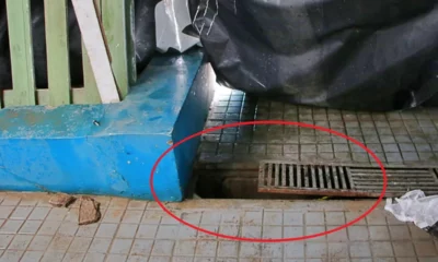 VALA–jpg VALA--jpg