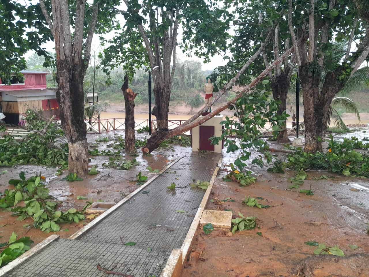 Chuva forte causou queda de árvore na praça de São Sebastião, no município de Xapuri