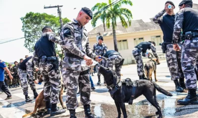 WhatsApp-Image-2023-09-07-at-10.06.07-jpeg WhatsApp-Image-2023-09-07-at-10.06.07-jpeg