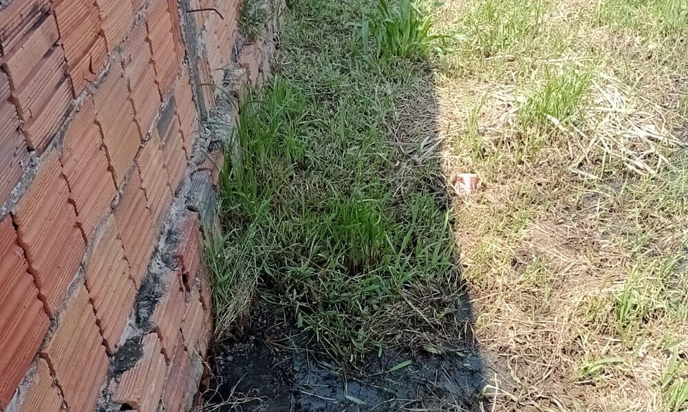 WhatsApp-Image-2023-09-07-at-10.09.07-1 WhatsApp-Image-2023-09-07-at-10.09.07-1