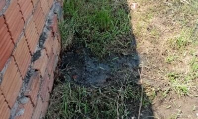 WhatsApp-Image-2023-09-07-at-10.09.07-1 WhatsApp-Image-2023-09-07-at-10.09.07-1