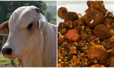 imagem-do-whatsapp-de-2023-09-21-a-s-10.15.32 imagem-do-whatsapp-de-2023-09-21-a-s-10.15.32