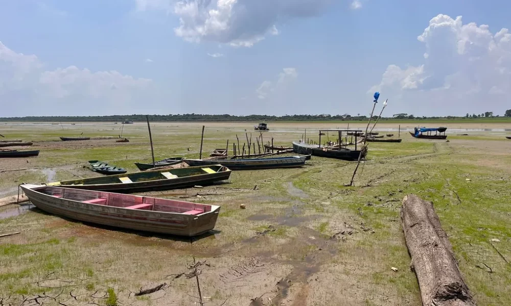 seca-2023-lago-do-aleixo-secou-em-manaus-foto6-gato-junior-rede-amazonica seca-2023-lago-do-aleixo-secou-em-manaus-foto6-gato-junior-rede-amazonica