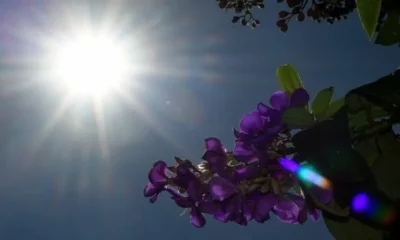 tempo-sol-bruno-rezende-768×425-730×425 tempo-sol-bruno-rezende-768x425-730x425