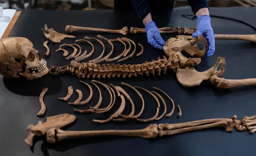 2023-10-30t082521z-532198776-rc2z04acuvjw-rtrmadp-3-poland-archaeology-vampires 2023-10-30t082521z-532198776-rc2z04acuvjw-rtrmadp-3-poland-archaeology-vampires