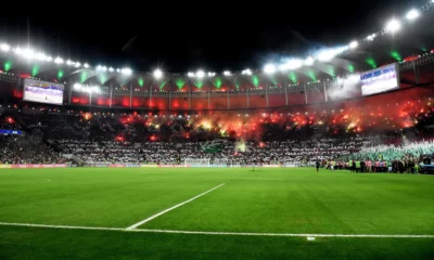 53218801958_f1dd895c1a_o