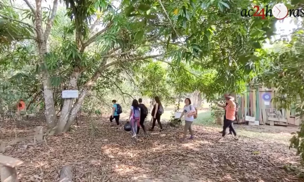 DESTACADA-27-jpeg DESTACADA-27-jpeg