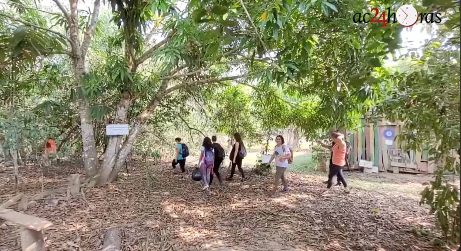 Trilha ambiental nas proximidades de Rio Branco atrai aventureiros para imersão