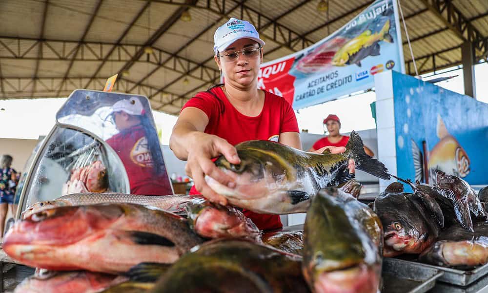 FEIRA-DO-PEIXE-RIO-BRANCO-7