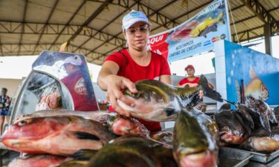 FEIRA-DO-PEIXE-RIO-BRANCO-7