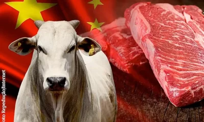 FOTO-REPRODU-jpg FOTO-REPRODU-jpg