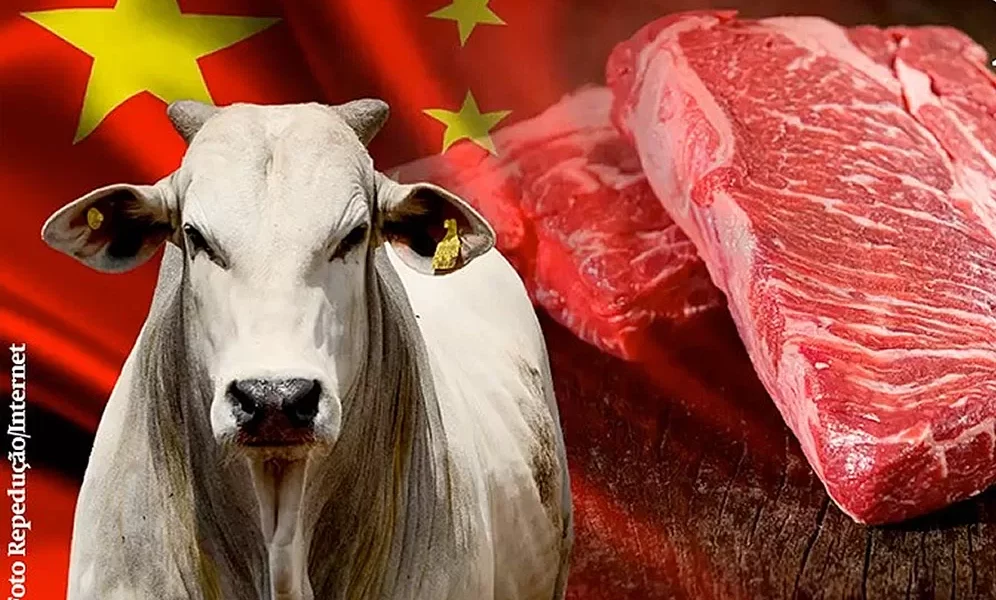 FOTO-REPRODU-jpg FOTO-REPRODU-jpg