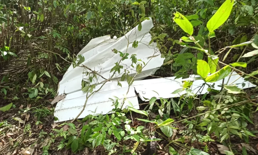 IMG-20231029-WA0007-jpg (1)