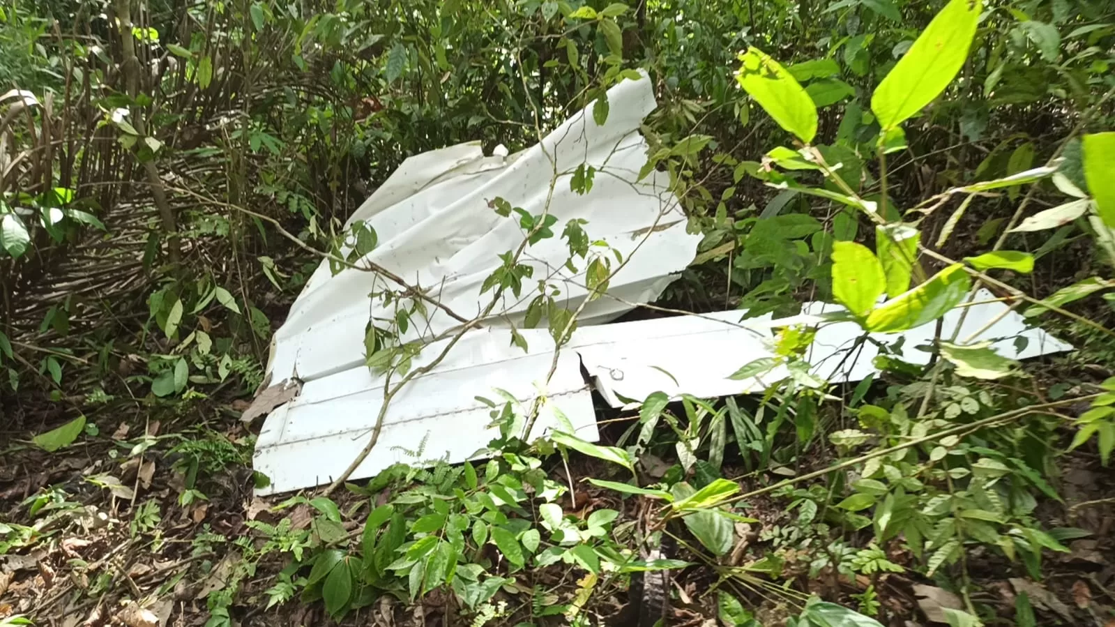 Acre teve 5 acidentes com aviões nos últimos 4 anos, diz CENIPA