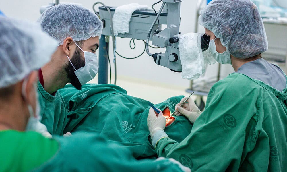 IMG_9358-scaled IMG_9358-scaled