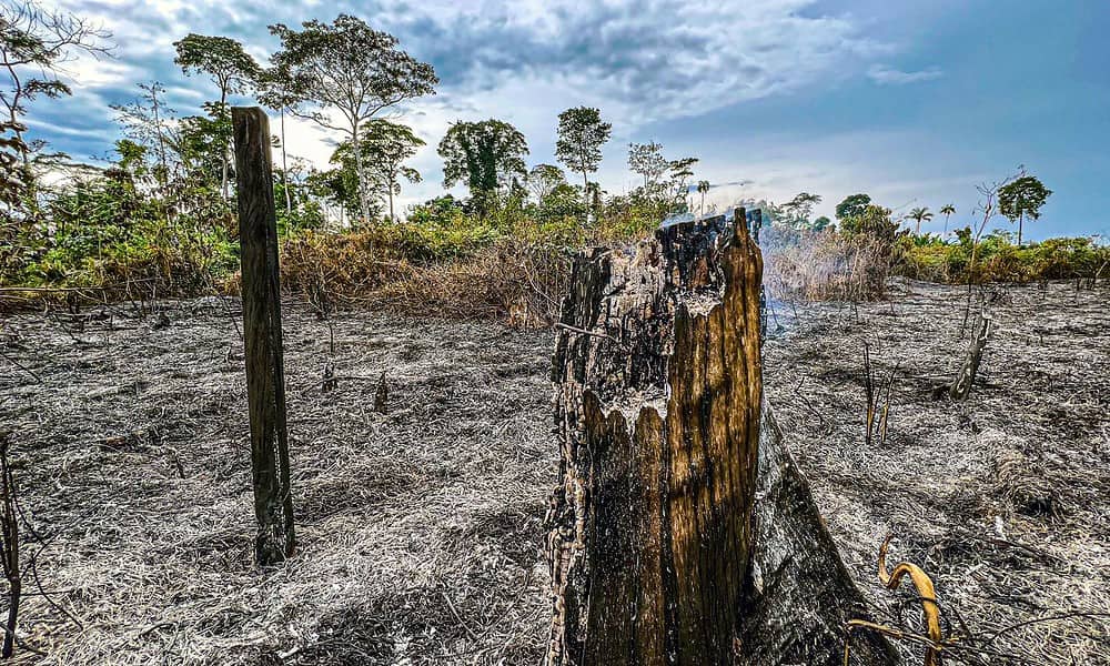 Jardy-Lopes-Queimadas Jardy-Lopes-Queimadas
