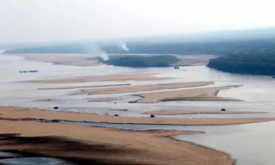 MADEIRA-jpeg MADEIRA-jpeg