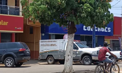 PF-MORTO–jpg PF-MORTO--jpg