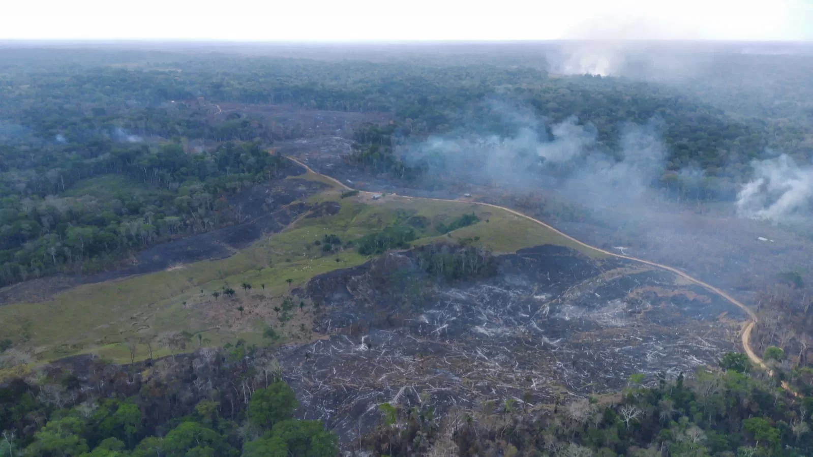 Queimadas atingem mais de 500 hectares em Assis Brasil, destroem patrimônio e matam animais