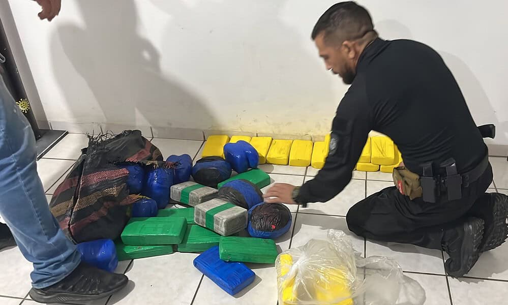 WhatsApp Image 2023-10-05 at 12.33.51 WhatsApp Image 2023-10-05 at 12.33.51