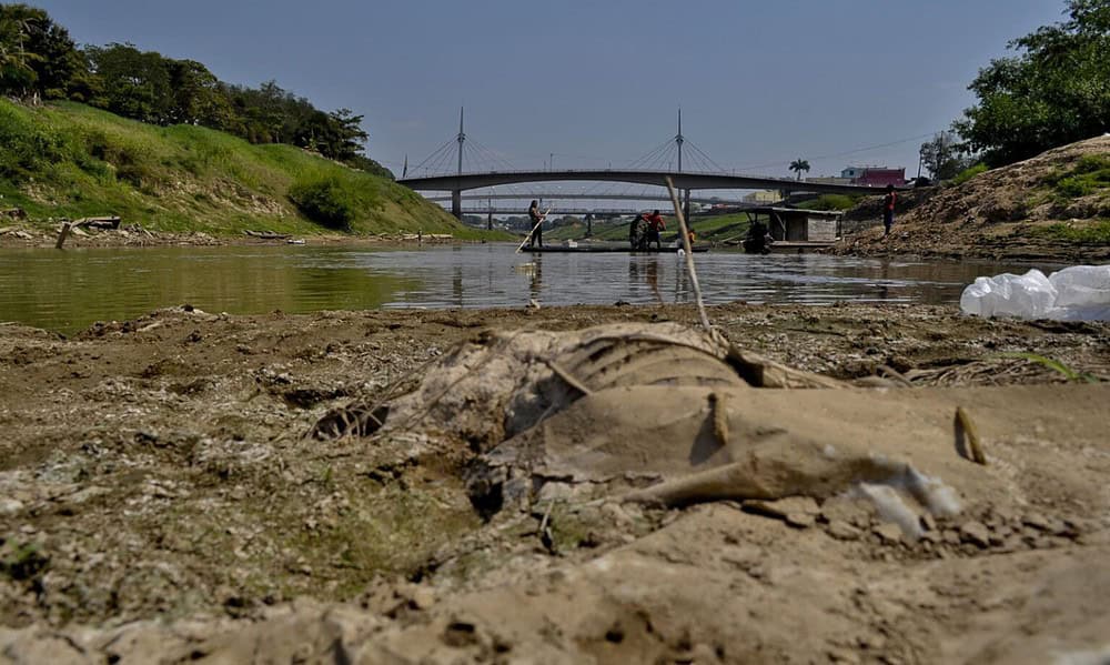 WhatsApp-Image-2023-10-19-at-15.23.00-1536×1020 WhatsApp-Image-2023-10-19-at-15.23.00-1536x1020