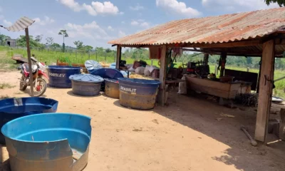 WhatsApp-Image-2023-10-22-at-10.43.38-jpeg WhatsApp-Image-2023-10-22-at-10.43.38-jpeg