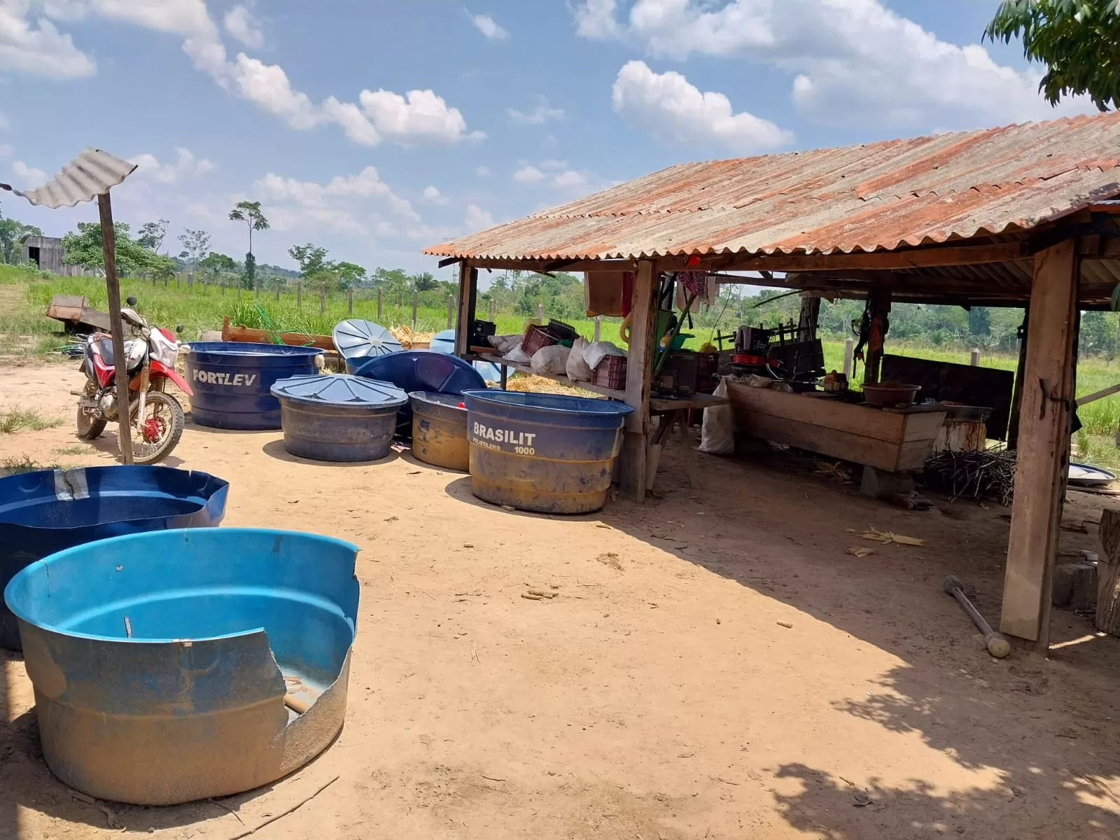 Falta de chuvas seca açudes no Acre e animais podem morrer por falta de água