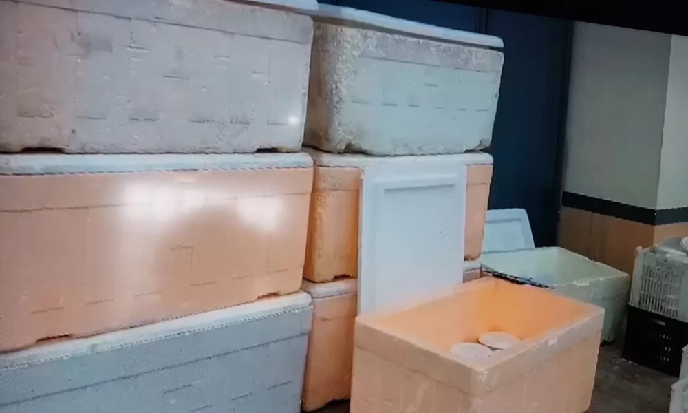 WhatsApp-Image-2023-10-23-at-13.36.37-1-jpeg WhatsApp-Image-2023-10-23-at-13.36.37-1-jpeg