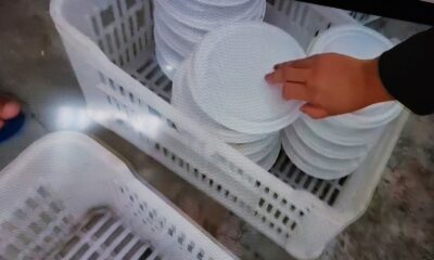 WhatsApp-Image-2023-10-23-at-13.36.37 WhatsApp-Image-2023-10-23-at-13.36.37