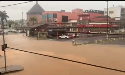 WhatsApp-Image-2023-10-25-at-15.12.24-jpeg WhatsApp-Image-2023-10-25-at-15.12.24-jpeg