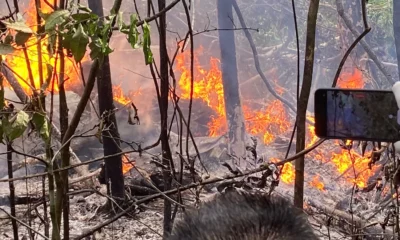 WhatsApp-Image-2023-10-29-at-08.35.21-jpeg (1) WhatsApp-Image-2023-10-29-at-08.35.21-jpeg (1)