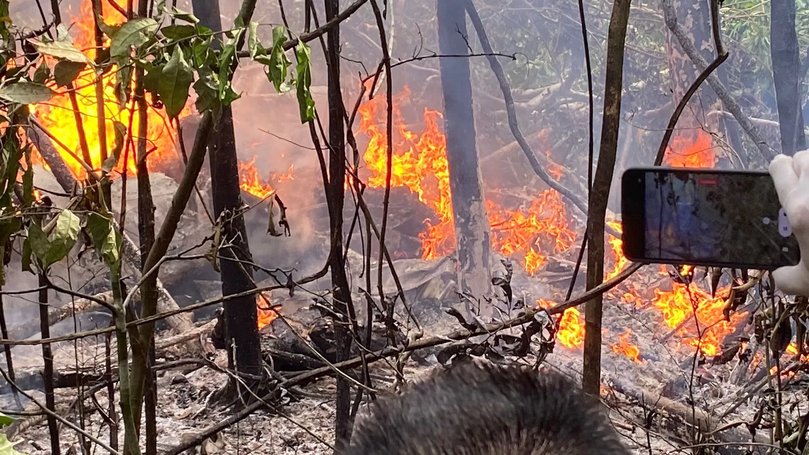 Piloto acredita em falha mecânica na tragédia que matou 12 pessoas em Rio Branco