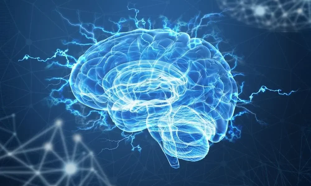 cerebro-humano-e-suas-funcoes cerebro-humano-e-suas-funcoes