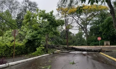 com-6-mortos-e-mais-de-140-cidades-com-estragos-sc-tem-ventos-de-100-kmh-e-novos-danos-fotos com-6-mortos-e-mais-de-140-cidades-com-estragos-sc-tem-ventos-de-100-kmh-e-novos-danos-fotos