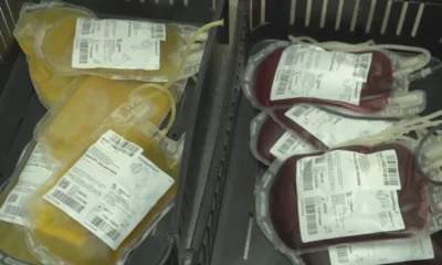 globo-canal-4-20231003-2000-frame-91885 globo-canal-4-20231003-2000-frame-91885