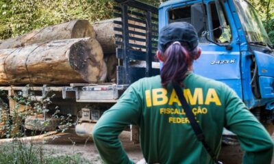 ibamaa-810×450-1 ibamaa-810x450-1