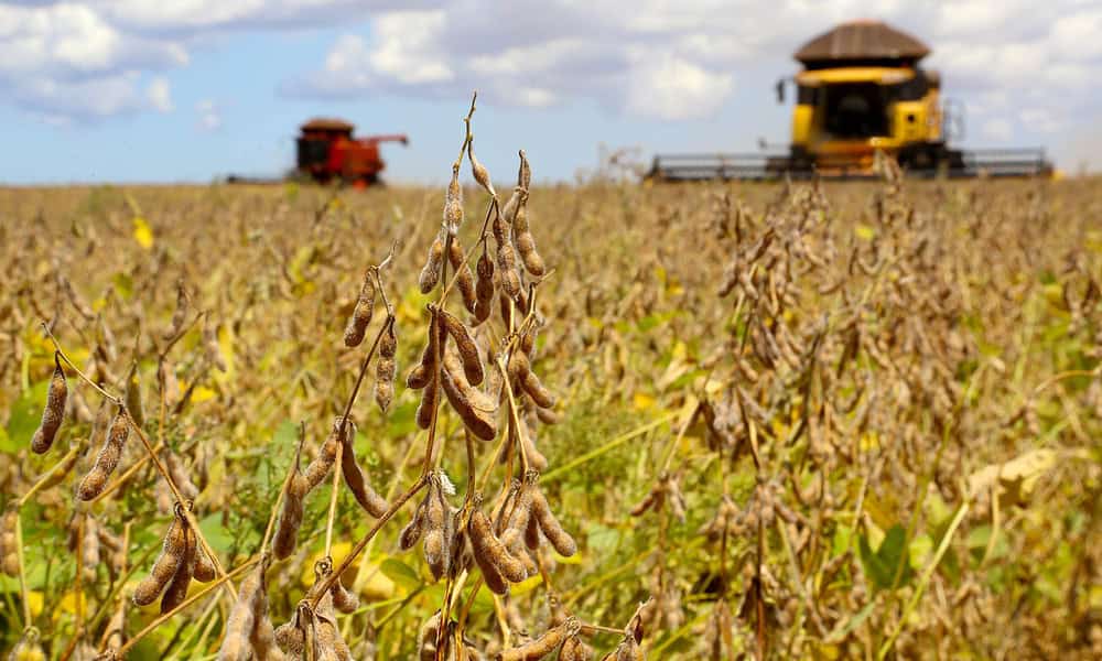 Safra soja 2020. Fotos:Jaelson Lucas / AEN Safra soja 2020. Fotos:Jaelson Lucas / AEN
