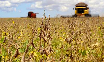 Safra soja 2020. Fotos:Jaelson Lucas / AEN Safra soja 2020. Fotos:Jaelson Lucas / AEN